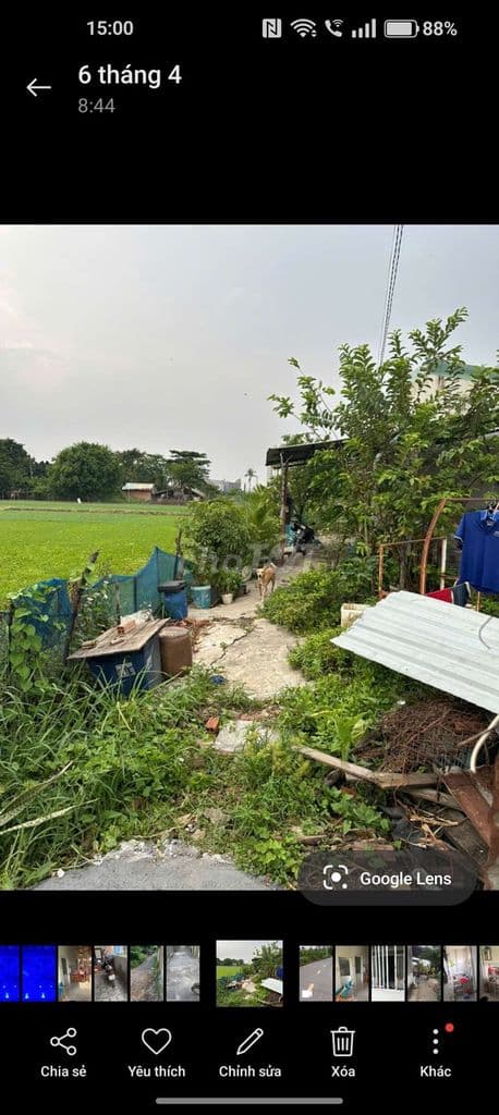 chính chủ cần bán đất trồng cây , 300m vuông, giá 1.5 ty, hh 50tr