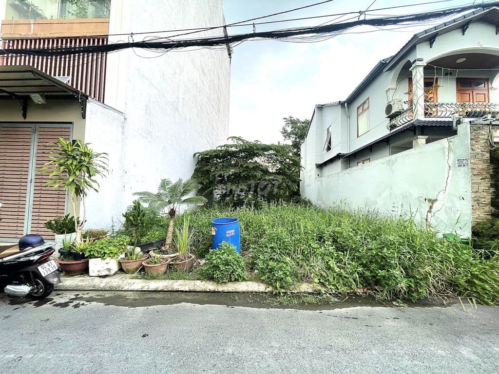 🚨 ĐẤT ĐẸP 98M² – HẺM XE HƠI THÔNG – SỔ RIÊNG - Ảnh 3