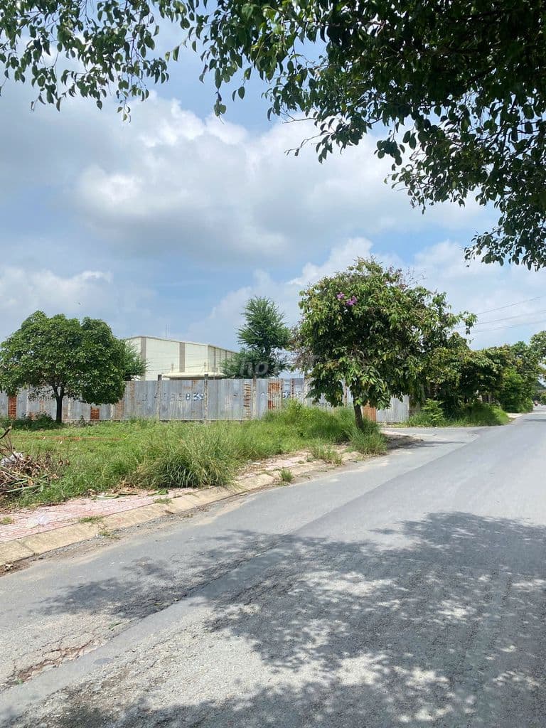 ĐẤT KHU DÂN CƯ TÂN PHÚ TRUNG CỦ CHI,5X26,130M2 FULL THỔ CƯ,SHR,550TR