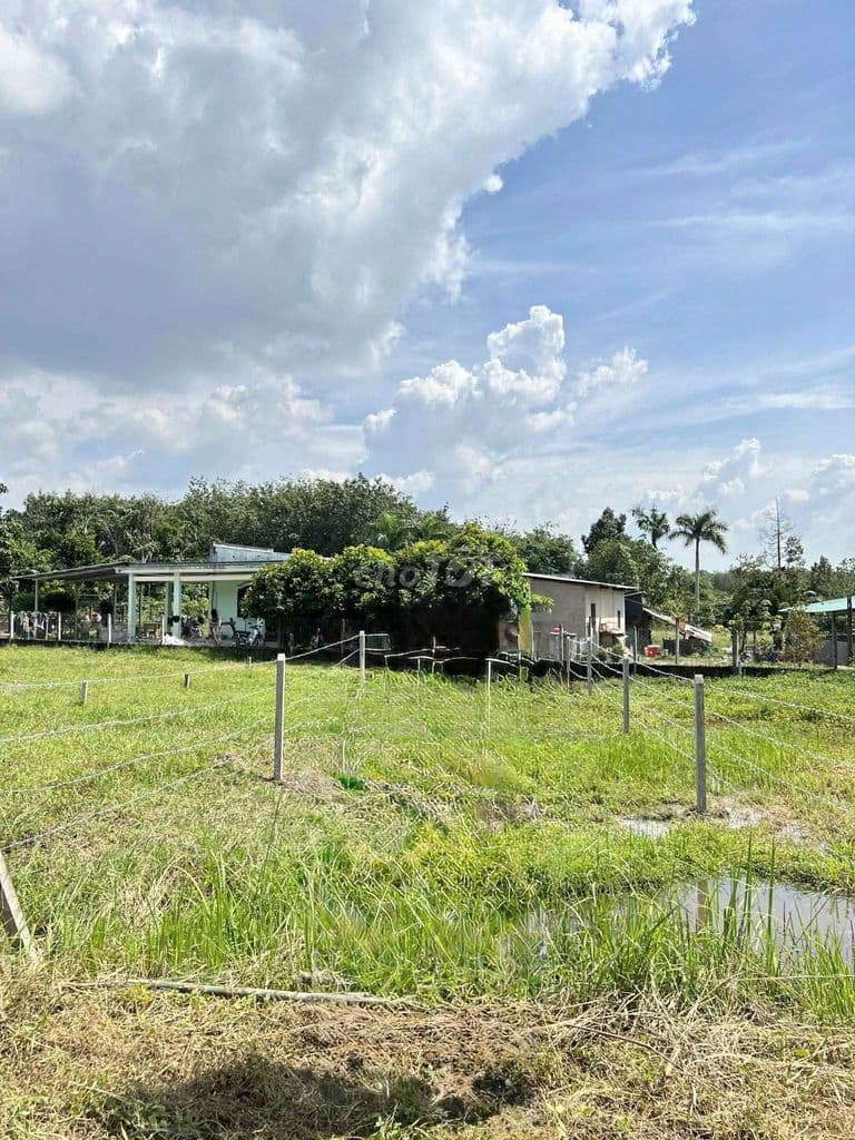 Bán đất An Nhơn Tây (An Phú) Củ Chi - Ảnh 2