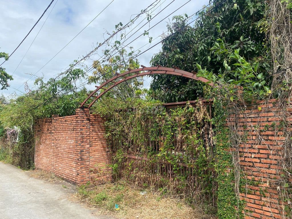 Bán đất ở nông thôn, giá 20tr/m2, diện tích 654m2 - Ảnh 3