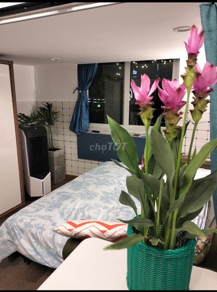 Cần bán căn hộ chung cư 1A, 1B Ngay trung tâm Q.1, vị trí đắc địa. - Ảnh 3