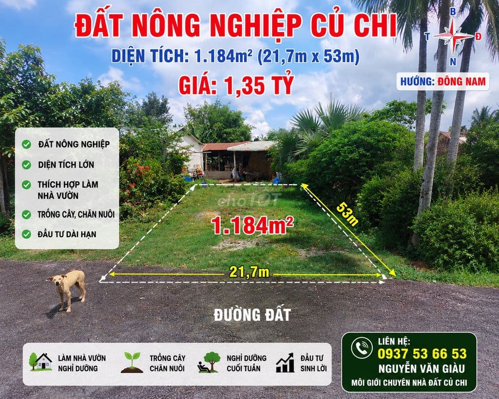 Cần tiền trả nợ bán gấp 1184m2 đất Củ Chi với giá cực rẻ chỉ 1,35 tỷ