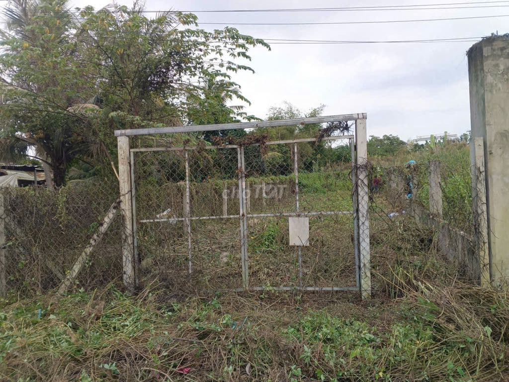 Lô đất góc 2 MT đường Trung An, diện tích 249m2, full thổ, xã Trung An - Ảnh 3