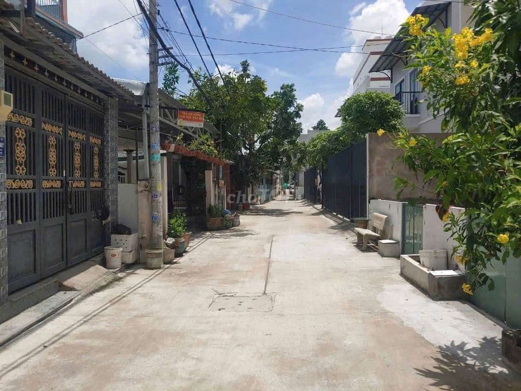 đất nền thổ cư, sổng hồng riêng đường tân liêm - Ảnh 3