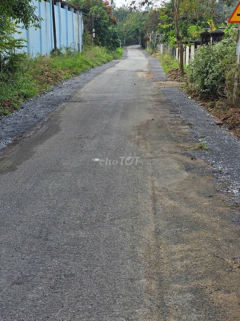 Bán nhà vườn, đất rộng, view kênh, có thổ cư - Ảnh 3