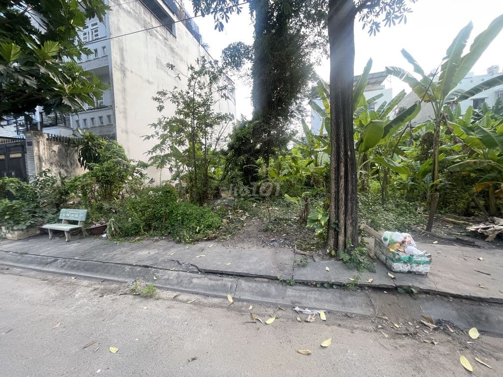 4 tỷ 8 / 120m2 (5x24m) - ngay CC Dream Home, không cốt, cột, ngã ba. - Ảnh 2