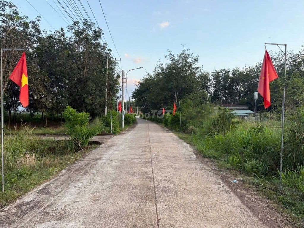 bán đất 12x58m An Linh Phú Giáo TPHCM giá 1ty3xx - Ảnh 2