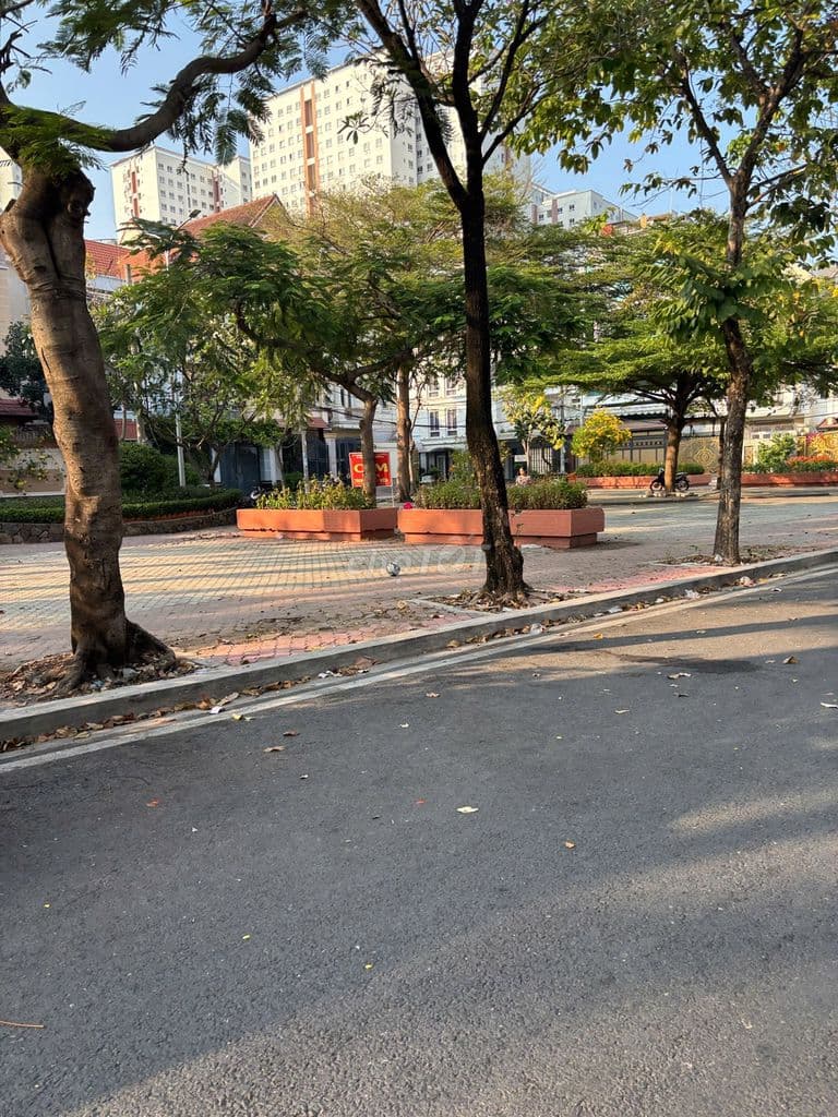 Bán 262m2 (12x22m) đất Biệt thự, KDC Cao Lỗ, P.4, Q.8 - Ảnh 3