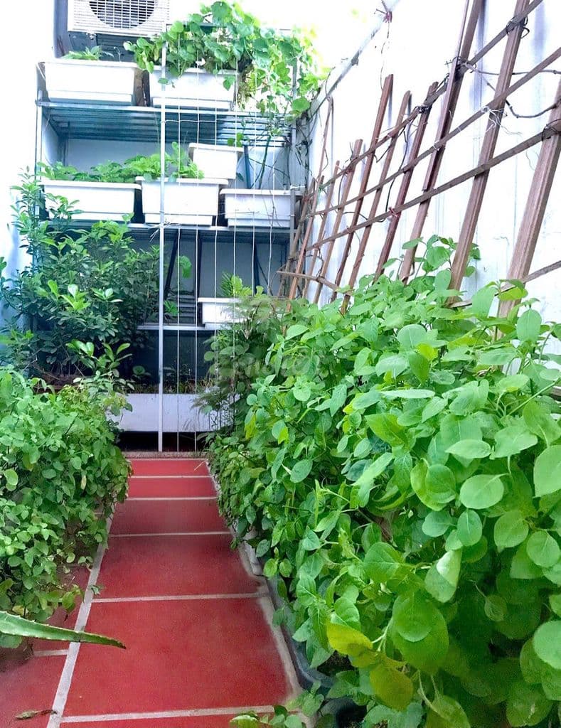 Chính chủ cần bán CH 70m2 chỉ từ 2,4xx - Ảnh 3