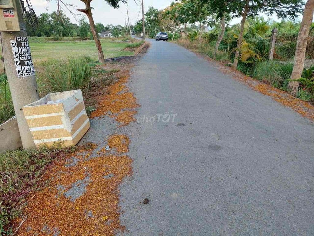 Bán đất dân cư mới 1842m2 xã Hưng Long gần Làng Đại Học giá 9ti