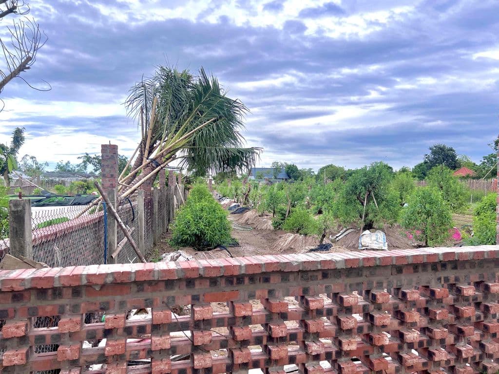 Giá chỉ 12 triệu/m² –sổ đỏ riêng -KDL Xã Hồng Vân - Thường tín - Ảnh 2