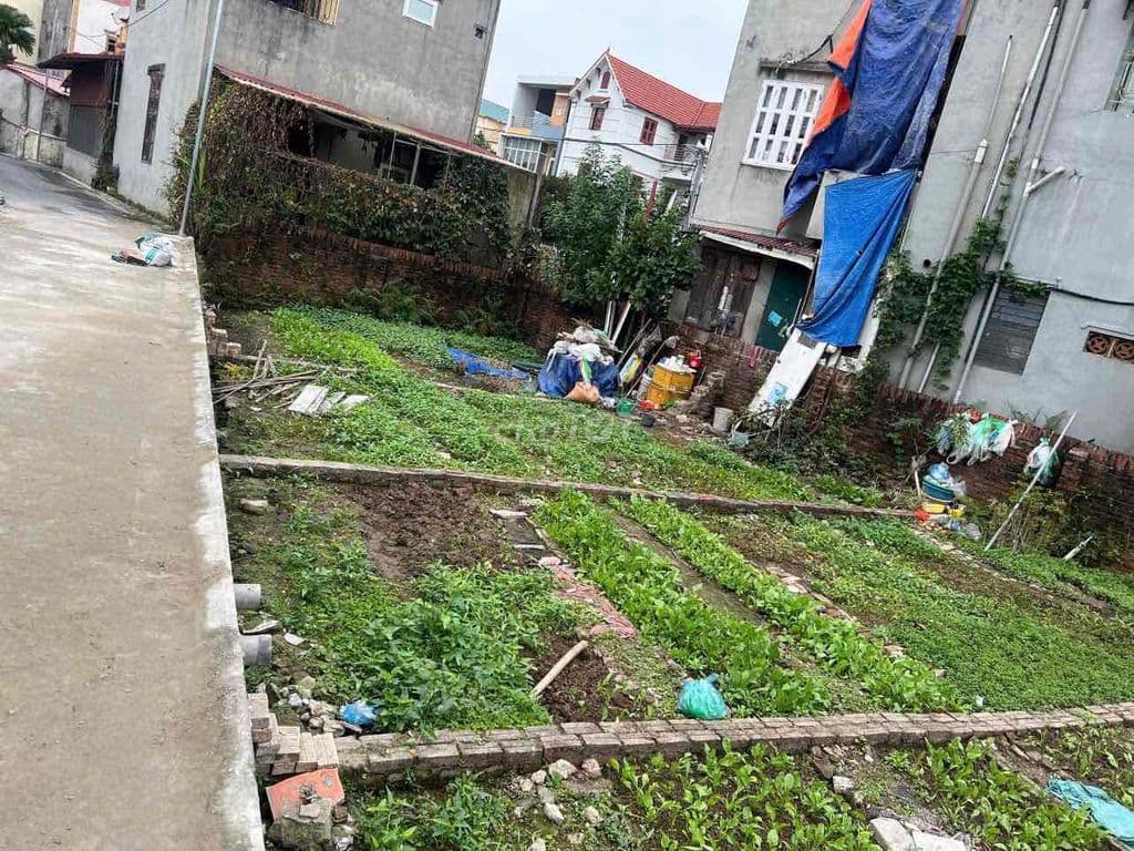 CC cần bán đất Đa Tốn -Gia Lâm ô tô vào tận đất, giá nhỉnh 3tỷ xíu