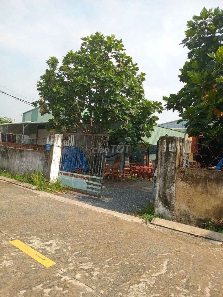 Đất thổ cư mặt tiền đường Thạnh Lộc 56 - Giá Tốt. - Ảnh 3