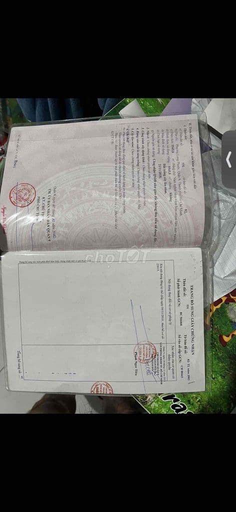 Bán đất vườn Long Phước - Ảnh 2
