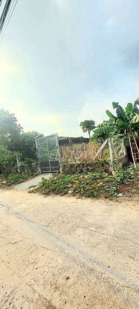 HẠ 1 TỶ , Bán lô đất full thổ đường xe tải ngay trung tâm Đông Thạnh - Ảnh 2