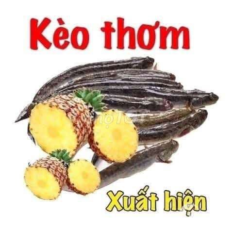 CẦN BÁN GẤP KHO Q7 - Ảnh 3