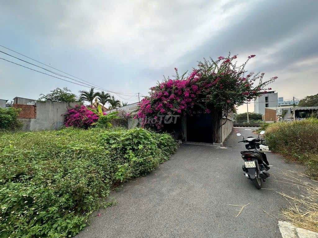 ĐẤT THỔ CƯ đường THẠNH LỘC 41 phường THẠNH LỘC Q12, dt 96m² (6*16)