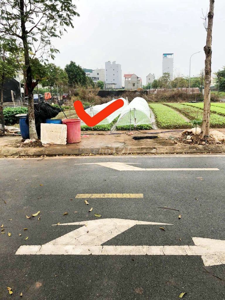 Tôi có lô đất gần kcn Bắc Thăng Long giá 3 tỷ 2 - Ảnh 2