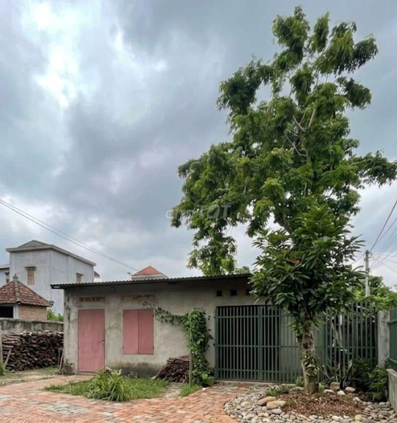 100 m² thổ cư, sẵn nhà cấp 4, ô tô vào sân.