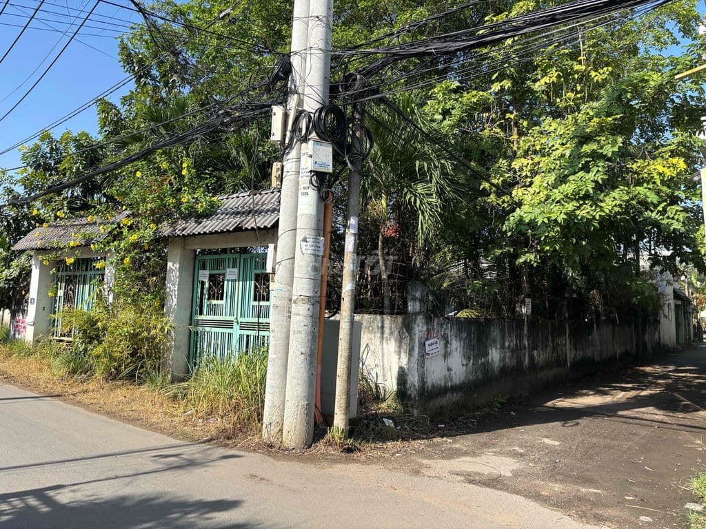 Bán Đất 2MT 535m2 Bưng Ông Thoàn Q9 36ty - Ảnh 2