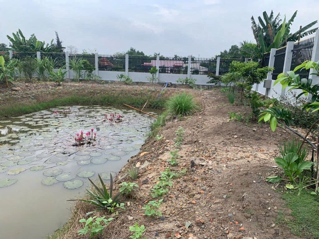Bán 2.000m2 có 1.350 thổ, MT Lương Ngang, Tân Nhựt, Bình Chánh - Ảnh 3