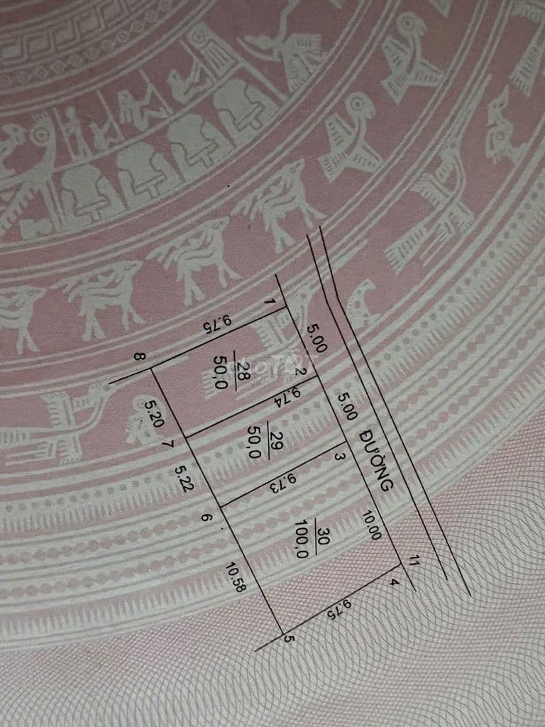 🍁 🍁 Bán 100m2 Cầu Ngăm, Kim Anh – Đất Bìa Làng – Gần Chợ Nam Cương - Ảnh 3