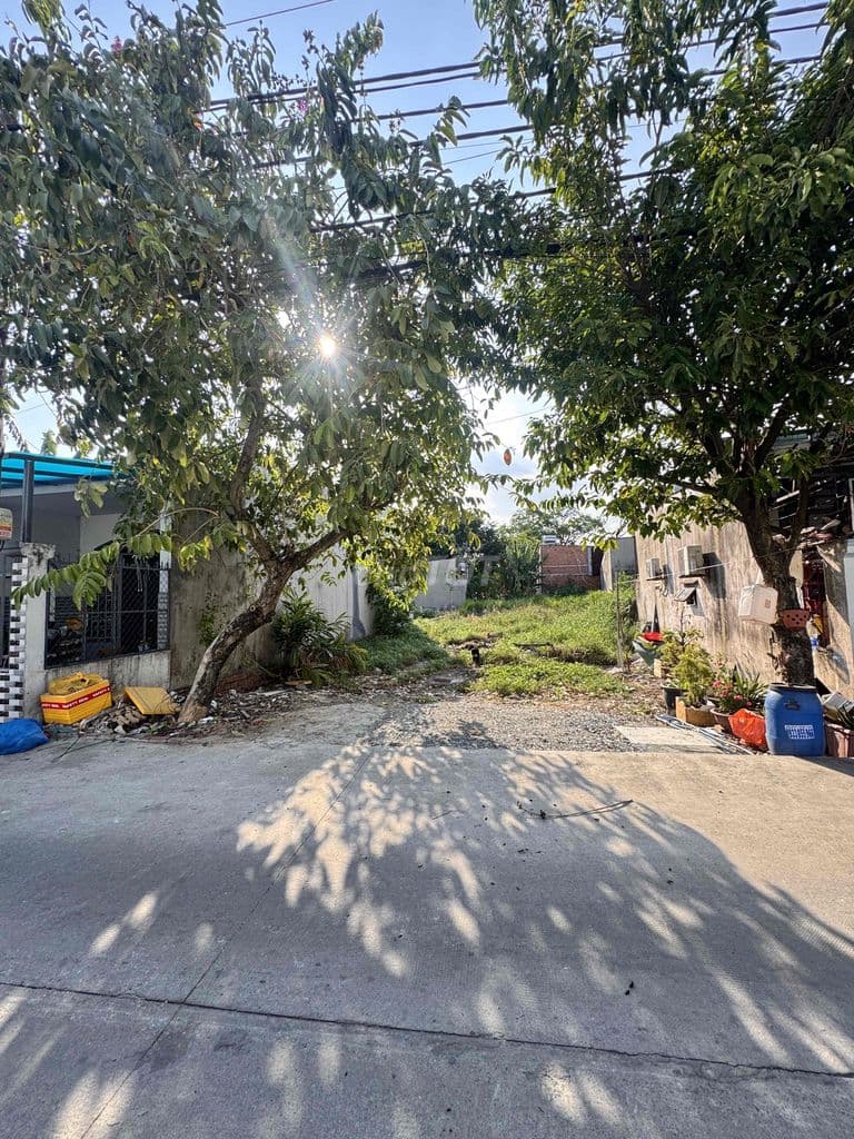 Đất Gần Quận 12 Diện Tích 8 x 38 Shr 306m2