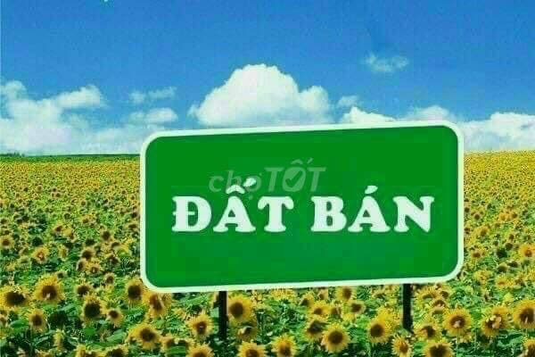 ĐẤT ĐẸP GIÁ RẺ, CHÍNH CHỦ CẦN BÁN GẤP