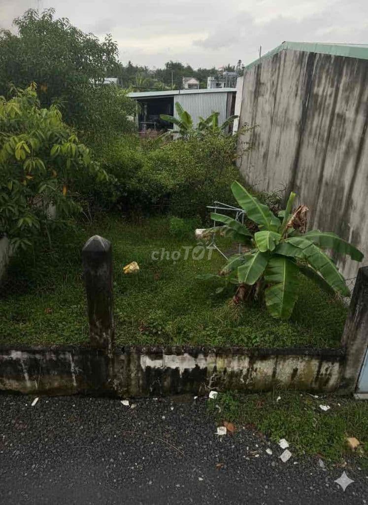🔥 Đất HXH Hồ Văn Tắng Củ Chi 250m² Cách MT 100m Giá 10tr/m2 - Ảnh 2