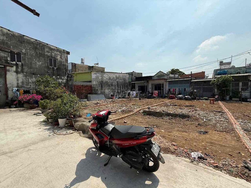 🏡 GÓC 3 MẶT TIỀN BÙI CÔNG TRỪNG – 7x14m – CHỈ 2 TỶ 7 – XÂY BIỆT THỰ MI - Ảnh 2