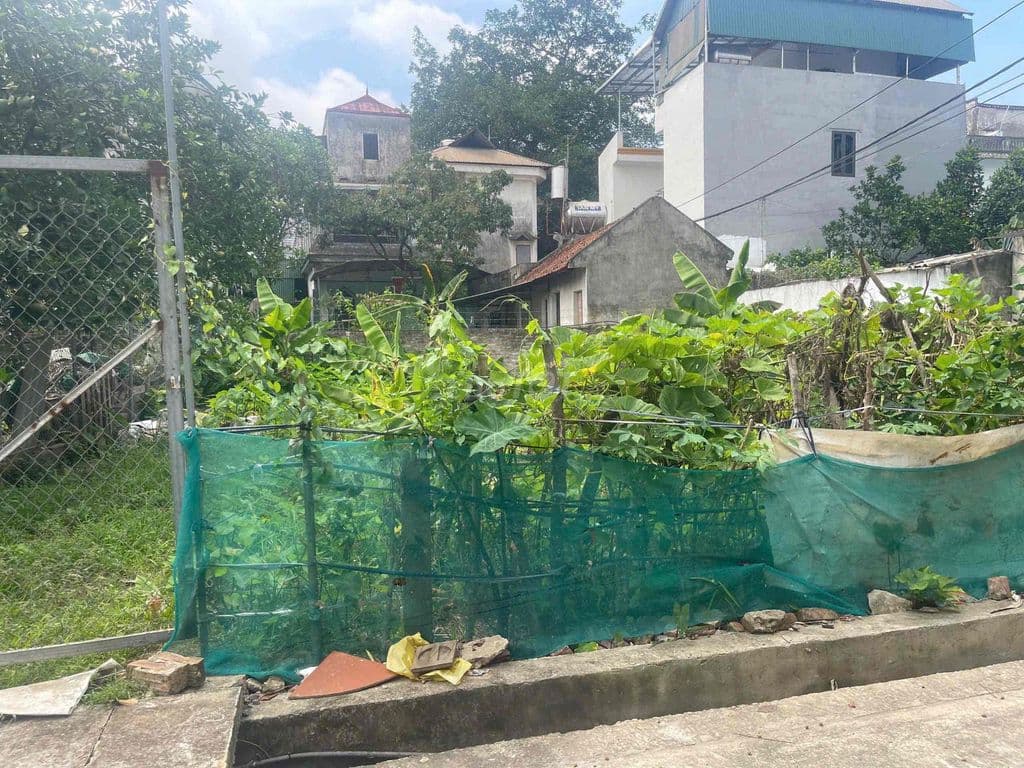 bán đất phú diễn