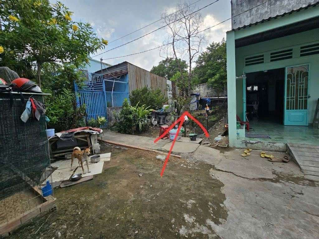 ĐẤT THỔ CƯ NỞ HẬU đường AN PHÚ ĐÔNG 9 phường AN PHÚ ĐÔNG Q12, dt 90m2 - Ảnh 2