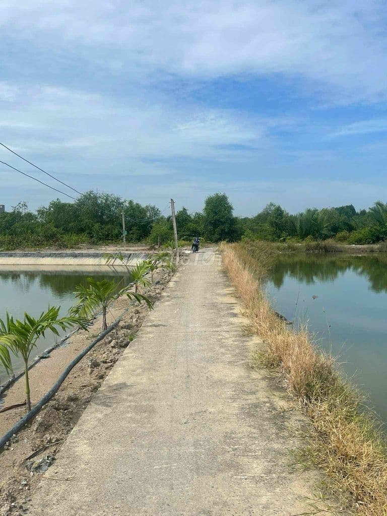 BÁN ĐẤT - XÃ AN THỚI ĐÔNG - 1.500 M2 - Giá 3.468trđ _ Chính chủ - Ảnh 2