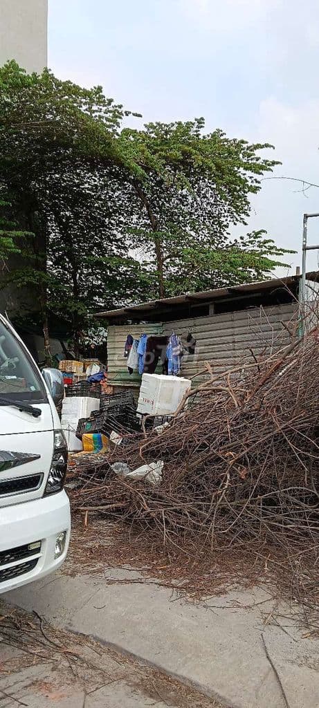 Bán Lô Đất Hẻm Xe Hơi Né Nhau Bên Hông Chợ Đầu Mối Thủ Đức - Ảnh 3