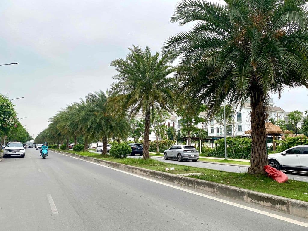 Bàn Toà Chung Cư Mi Ni Việt Hưng . Long Biên. 8 Tầng Thang May