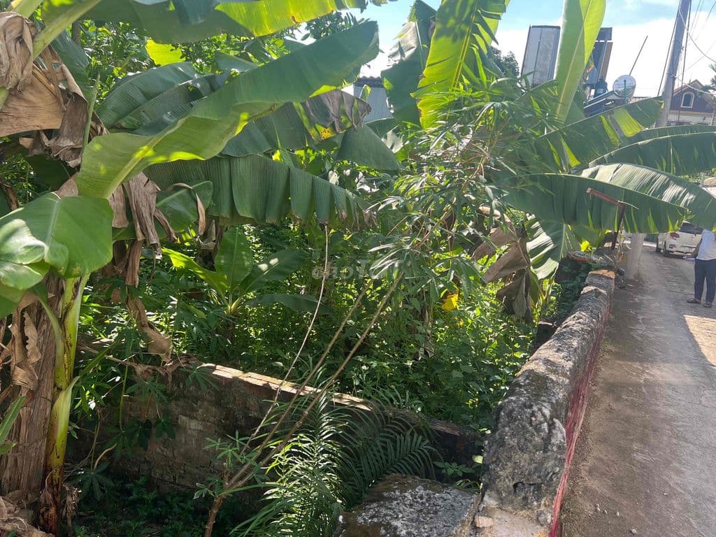 Bán 86,3m2 đất Phường Tùng Thiện, Hà Nội - Ảnh 3