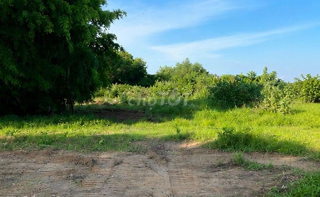 bán đất diện tích 12500 m2 phường Long Phước - Quận 9 - Ảnh 2