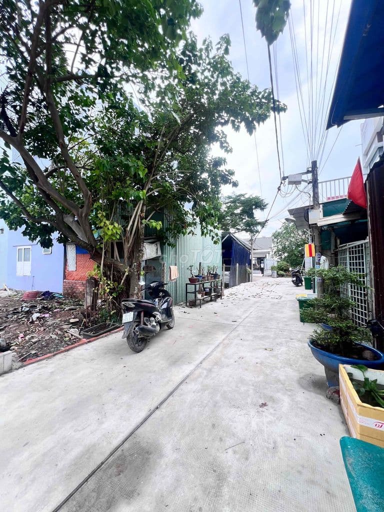 ĐẤT GIÁ RẺ. SHR. DT: 4 x 17.5m2. Giá: 3.95 tỷ - Ảnh 3