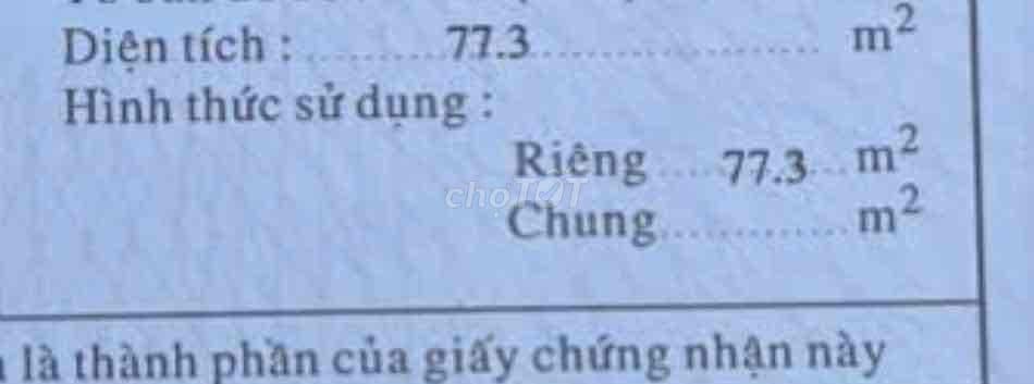 BÁN ĐẤT ĐƯỜNG SỐ P. TÂN QUY – QUẬN 7 - Ảnh 2