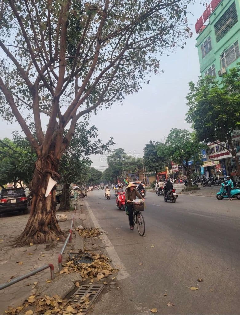 Bán đất tặng nhà đang cho thuê - Ảnh 3