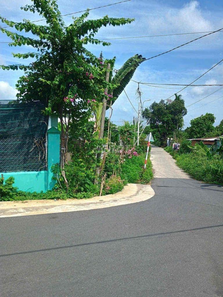 ĐẤT CHÍNH CHỦ CẦN BÁN (Sổ hồng riêng) - Ảnh 3