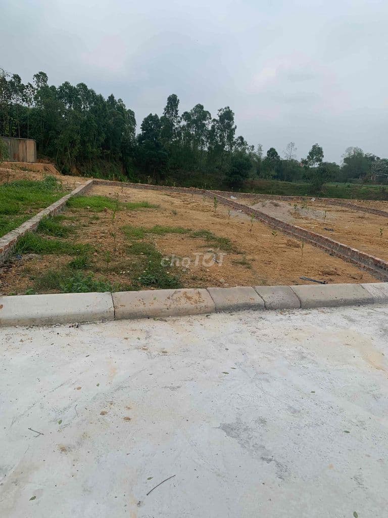 Chính chủ bán đất Trung Giã Sóc Sơn