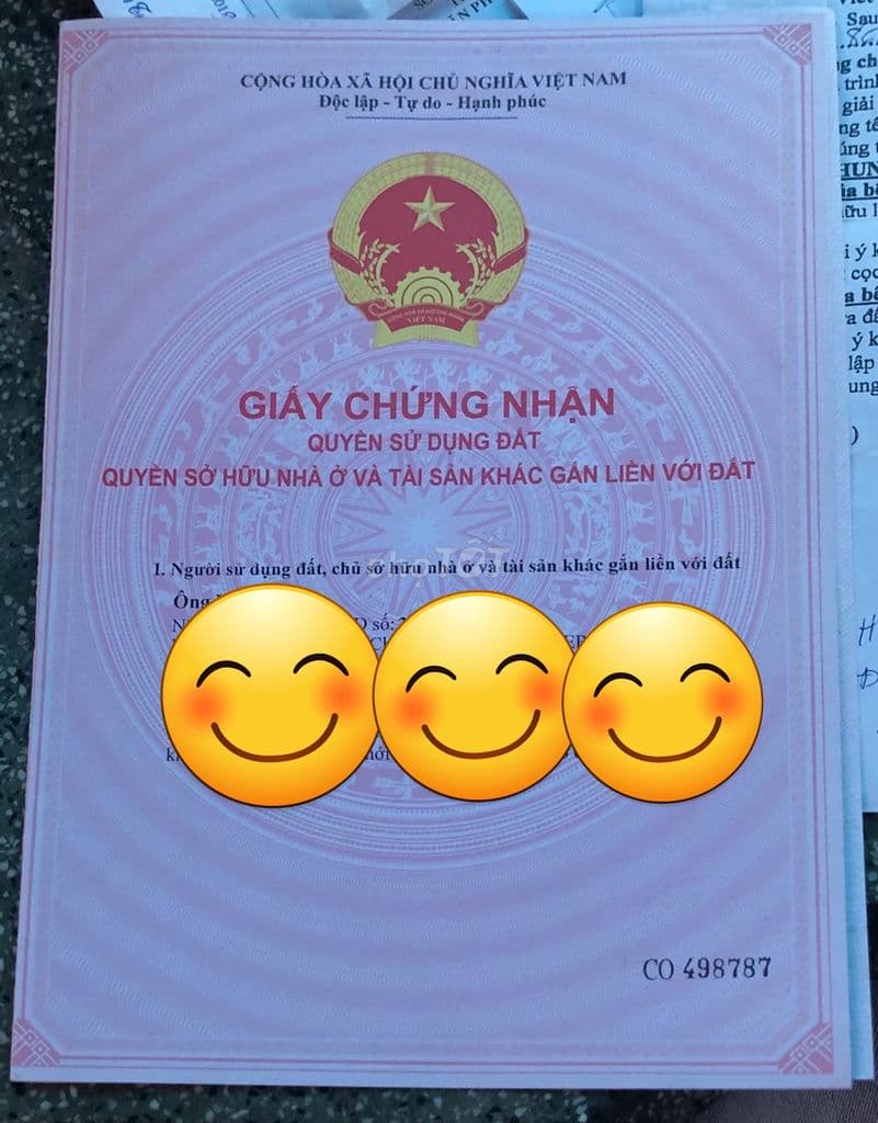 242m2 FULL THỔ – MẶT TIỀN NHỰA Ô TÔ – KẾ BIỆT THỰ – GIÁ TỐT CỦ CHI - Ảnh 3