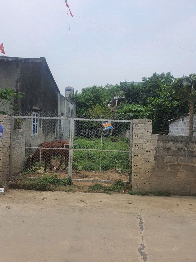 lô đất ven hà nội