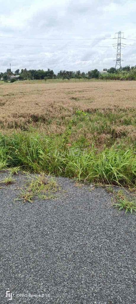 BÁN đất ngay MT VÕ VĂN KIỆT 2500m2 Tân Kiên - Ảnh 3