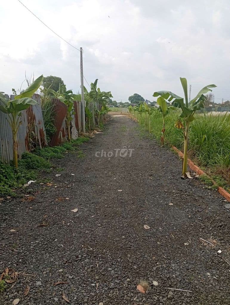 Bán đất làm nhà Vườn tại hẻm 158 Bến Than, Bình Mỹ, Củ Chi.