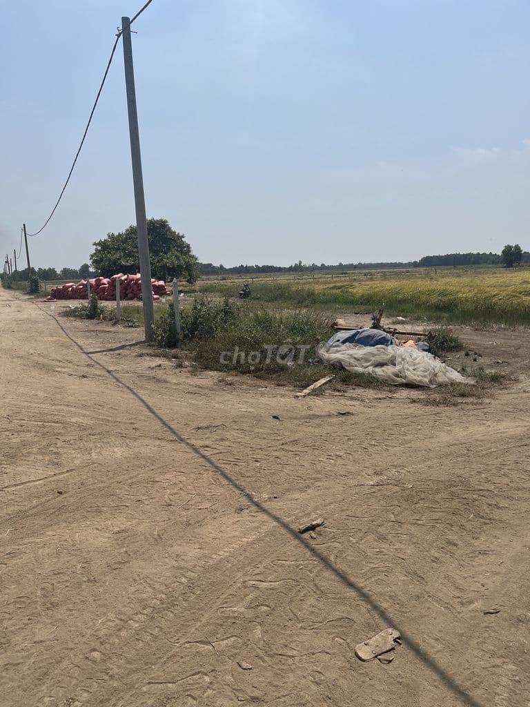 Bán 1,3 ha đất lúa mặt tiền kênh 8, xã Tân An Hội, huyện Củ Chi - Ảnh 3