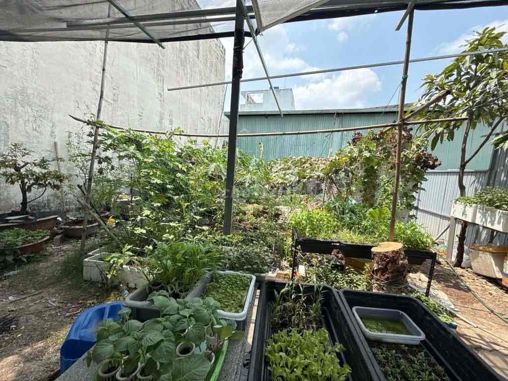 Chủ Bán Gấp Đất Thổ cư- 64M2 Liên Khu 5-6, Hẻm xe hơi tới nhà, 3.2 tỷ