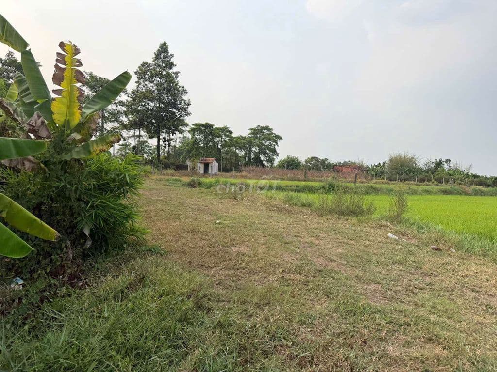 bán đất tại Phước Thạnh - Ảnh 2